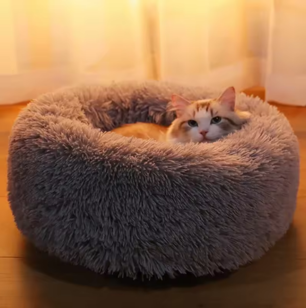 Lit Rond en tissu fourrure pour chat