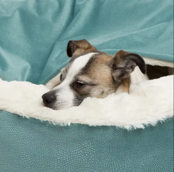 Lit pour chien avec couverture à capuche